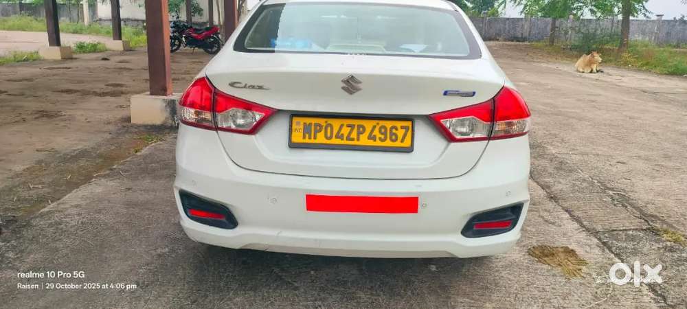 Maruti Suzuki Ciaz 2023 Petrol Excellent Condition