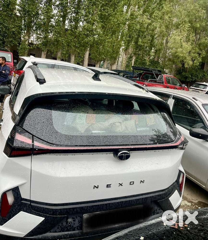 Tata Nexon Petrol 2024