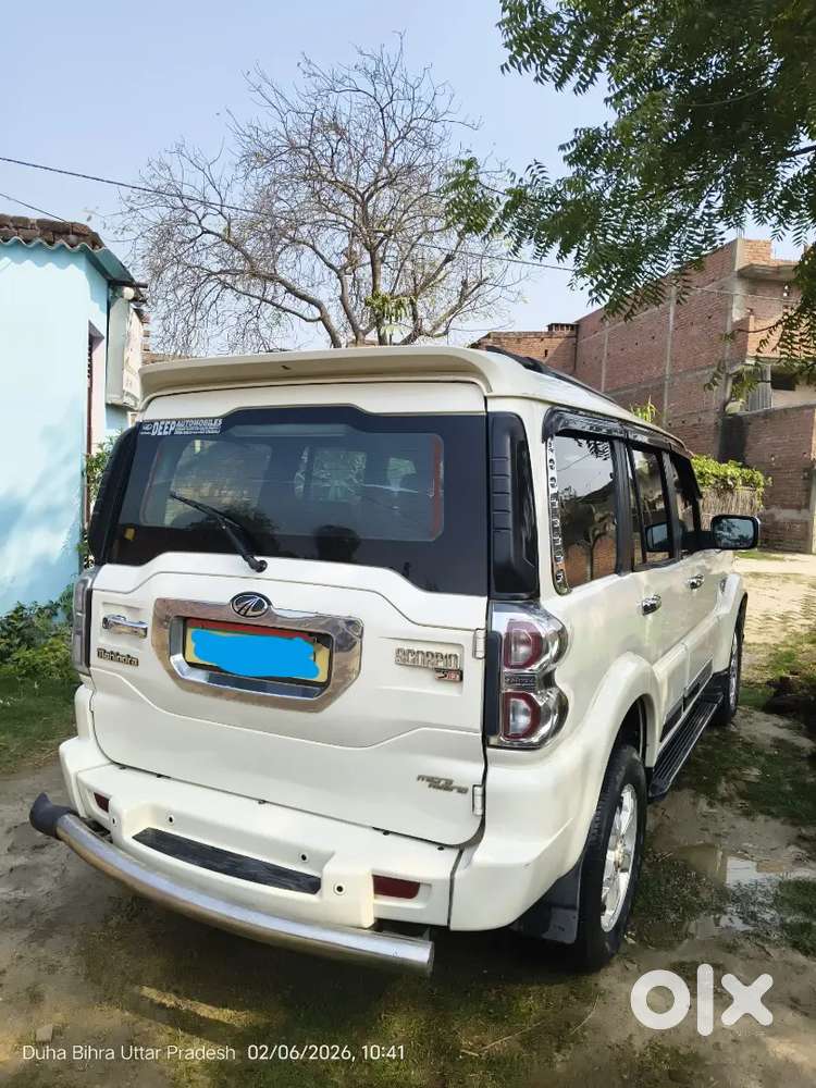Arjent Hai