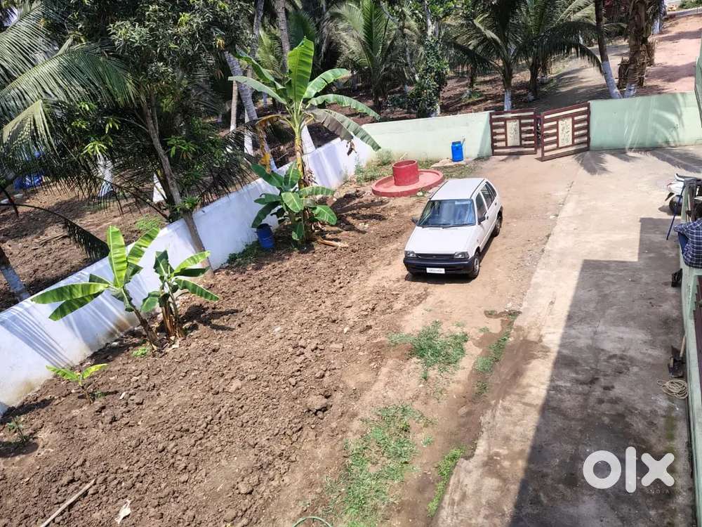 Maruti Suzuki 800 2000