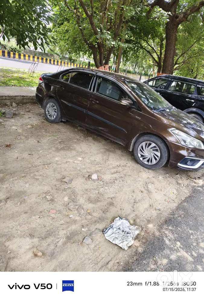Maruti Suzuki Ciaz Vxi 2015 Model
