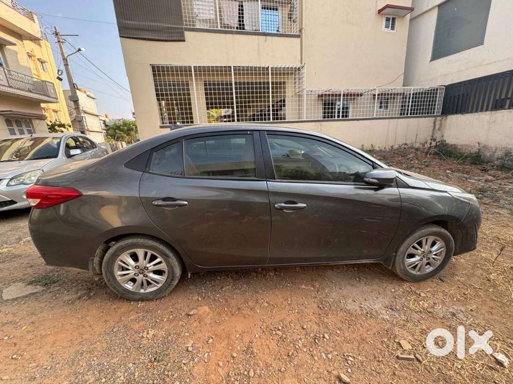 2019 Model
