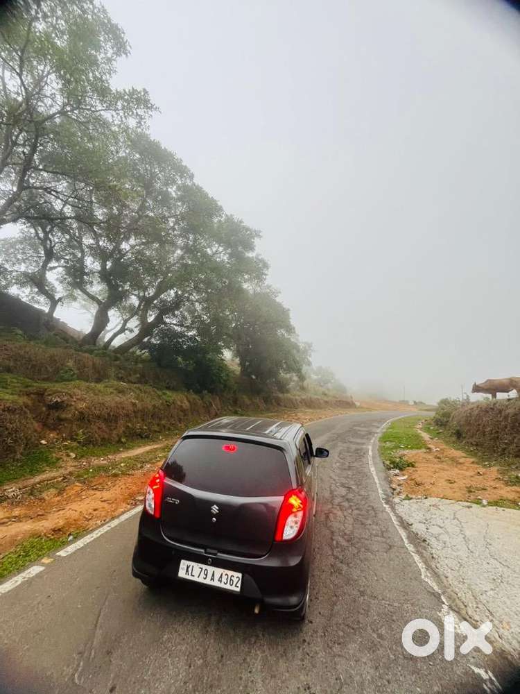 Maruti Suzuki 2022 Year