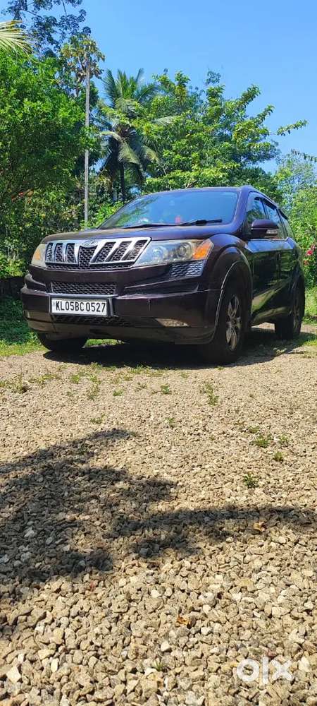 Xuv 500 Grape Colour