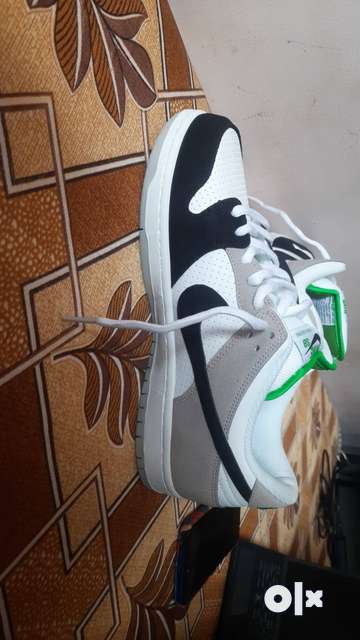 Olx cheap nike sb