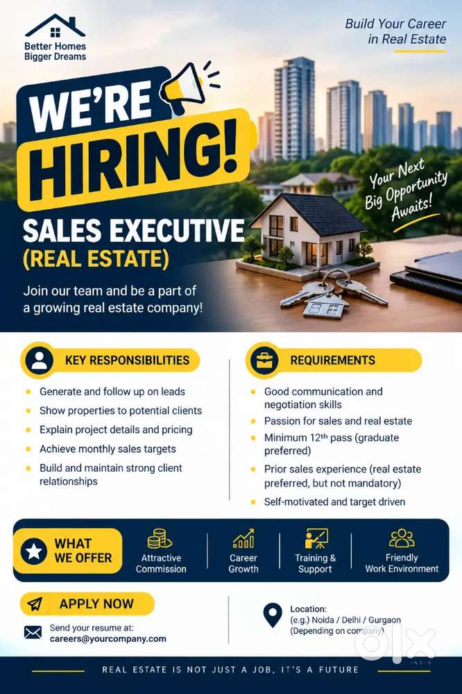 Sales executive