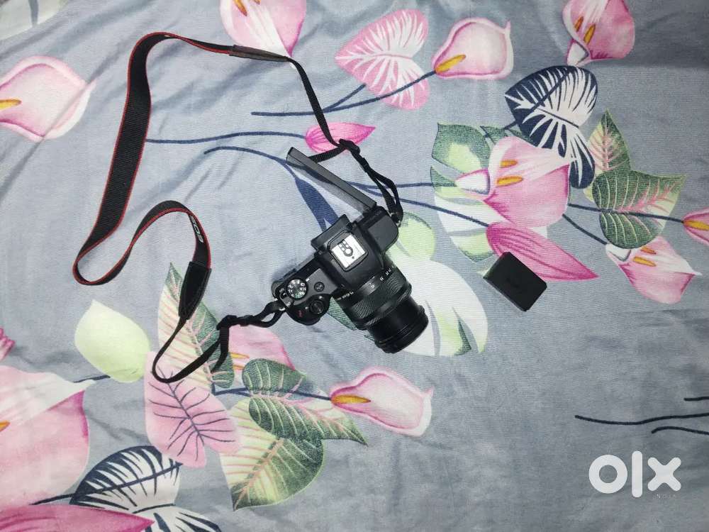 canon M50 Mark ii
