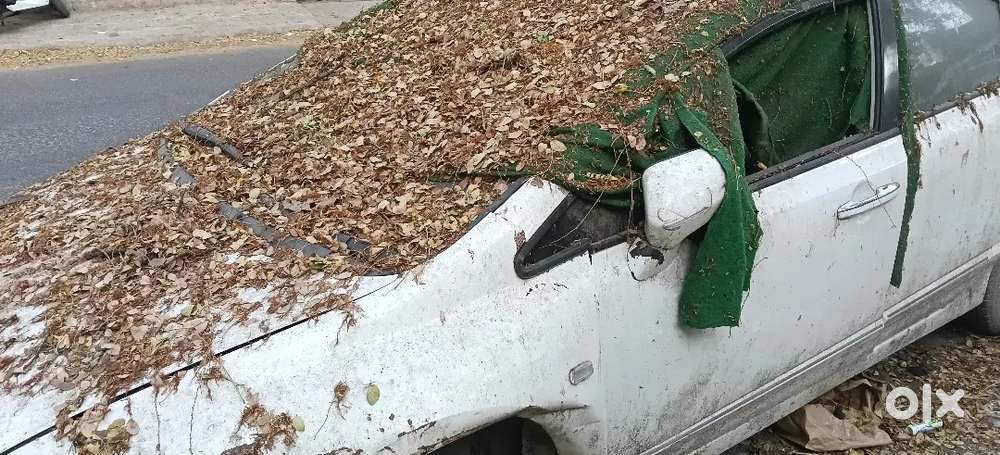 Honda Civic 2007 Petrol