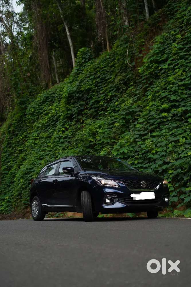 Baleno Delta 2024