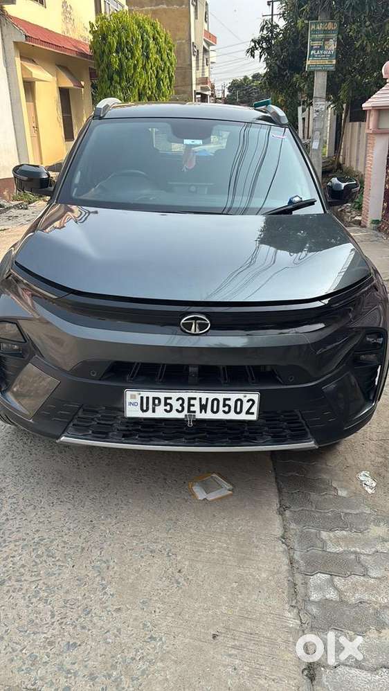 Tata Manual Petrol 2024