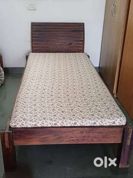 Single bed on olx hotsell