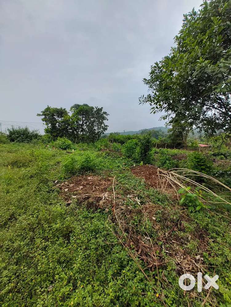 N.A. PLOT FOR SALE, UPPER HARVALEM, AREA 450SQMTS, PRICE@₹14900/SQMTS