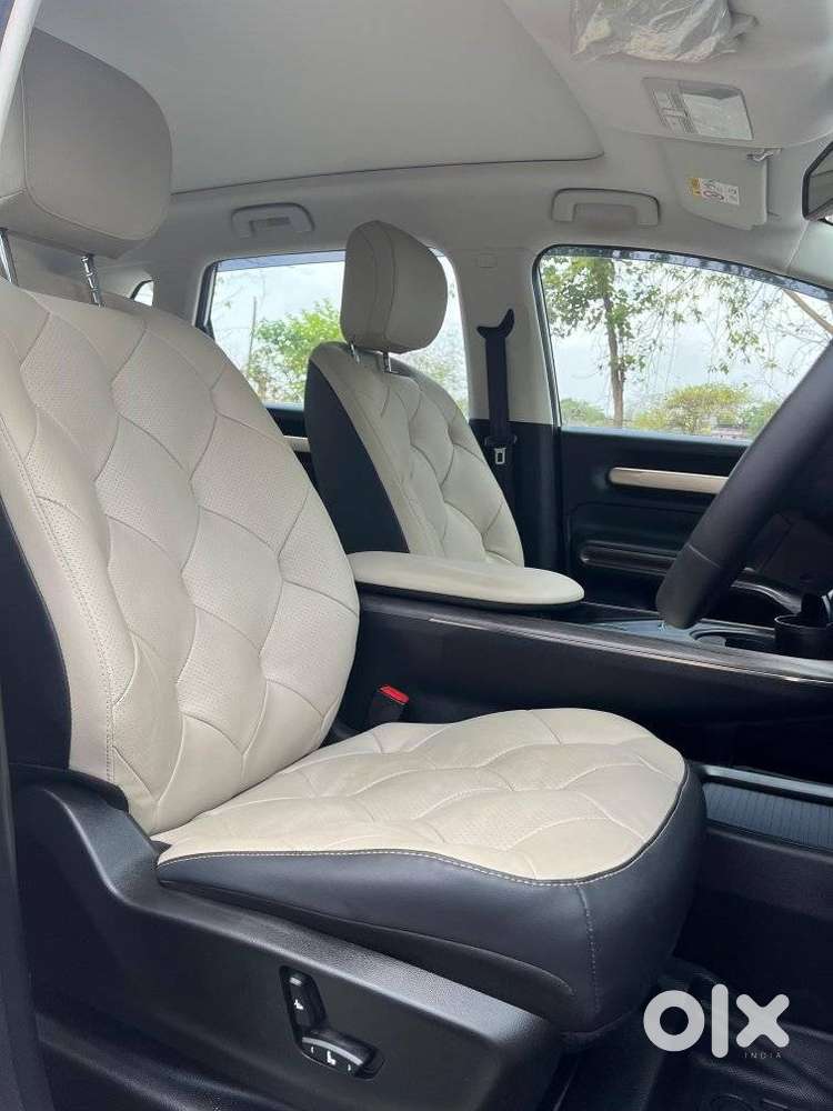 Mg Windsor Ev Essence, 2025, Electric