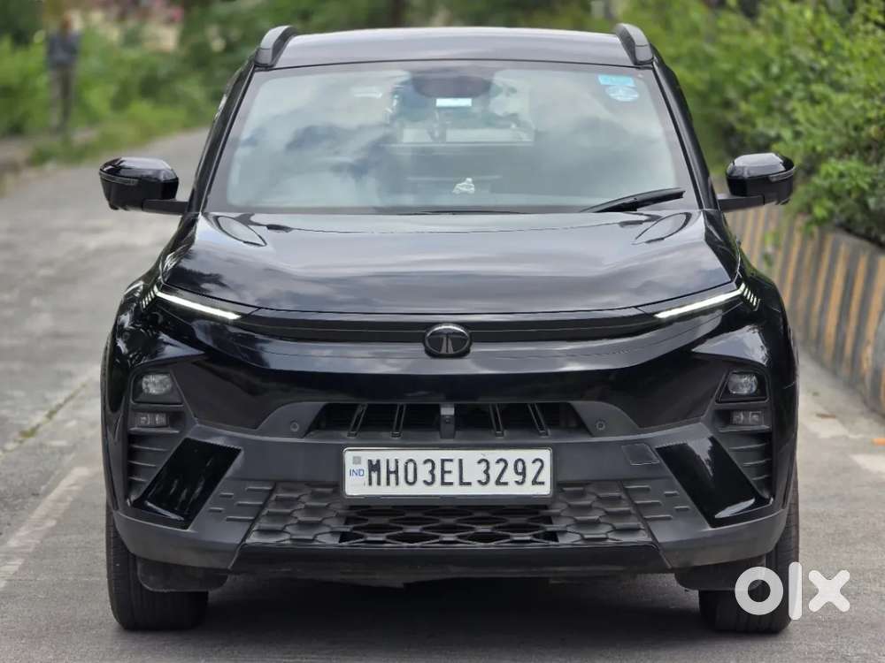 Tata Nexon Fearless 1.5 Revotorq Diesel 6mt Dt, 2024, Petrol