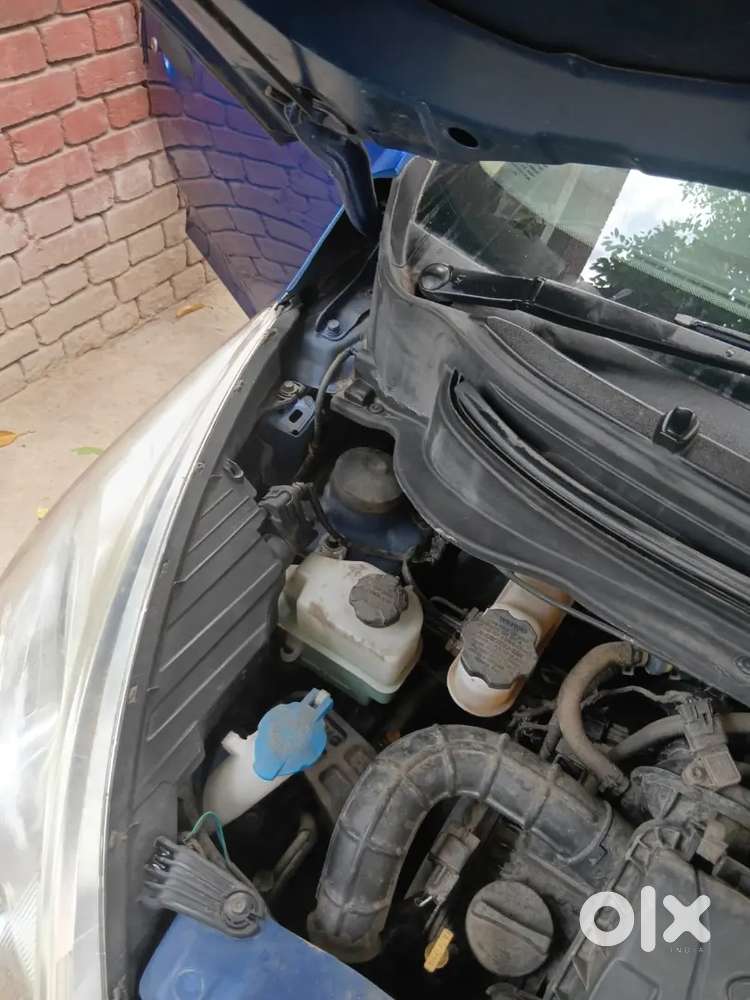 Eon 2014, Magna Plus