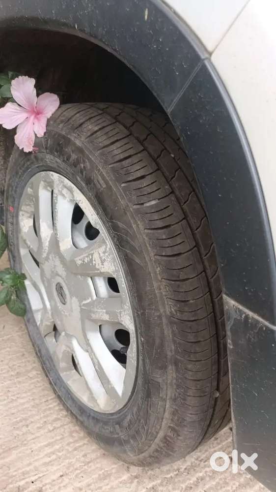 Mint Condition Nothing To Repair
