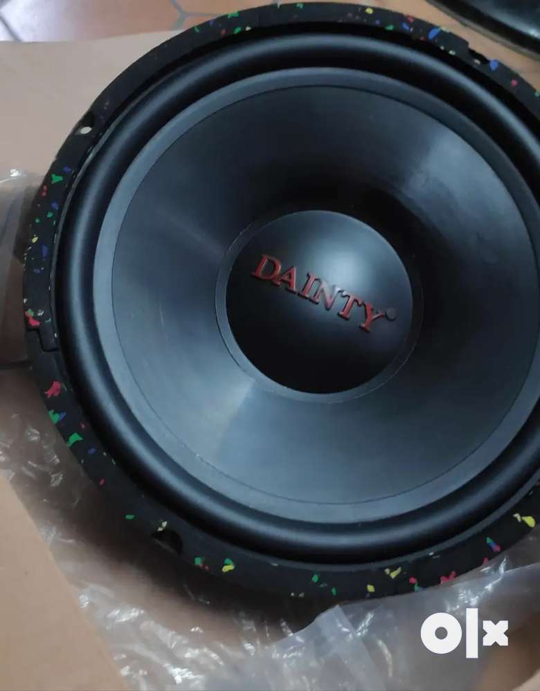 Dainty best sale subwoofer price