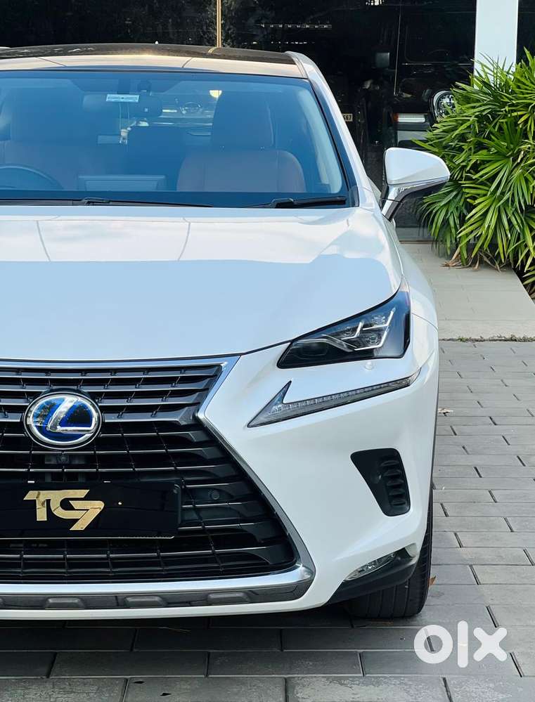 Lexus Nx Lexus-nx-300h-luxury, 2020, Petrol