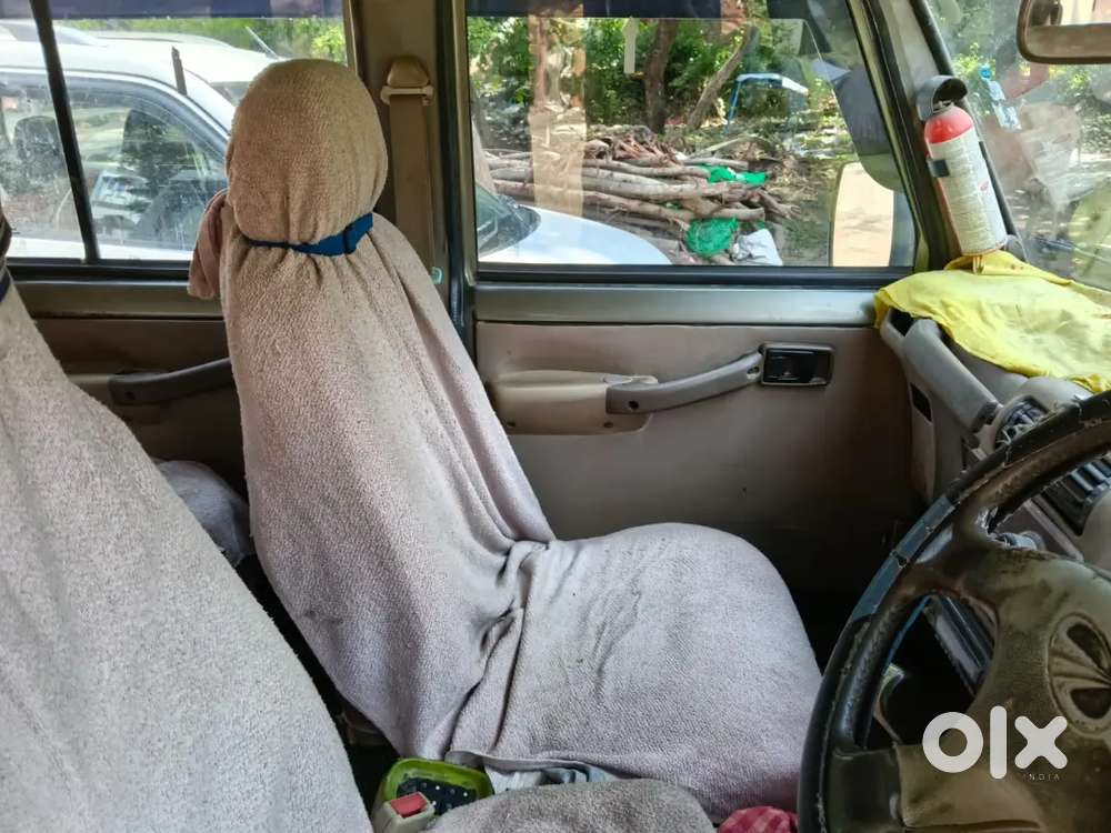 2031 Tak Pepper Ok Hai