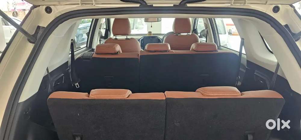 Mg Hector Plus 2.0 Shammm