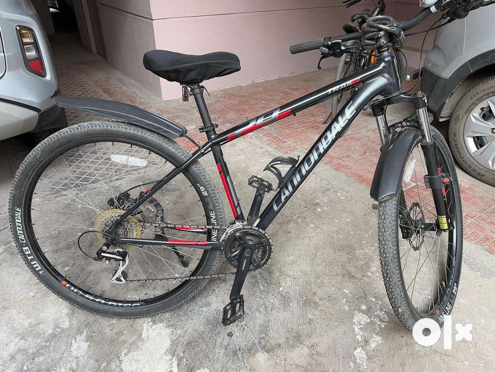 Cannondale 2024 trail 6