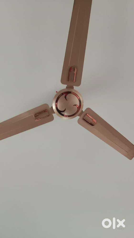 ceiling fan/ brand_ crompton /