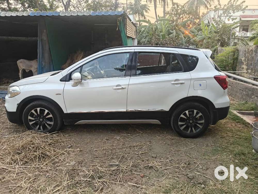 Maruti Suzuki S-cross Top And Model