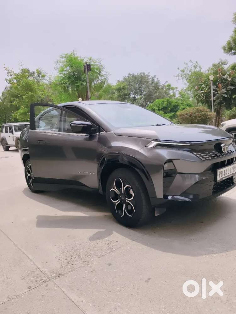 Tata Curvv 2024 Petrol Creative S