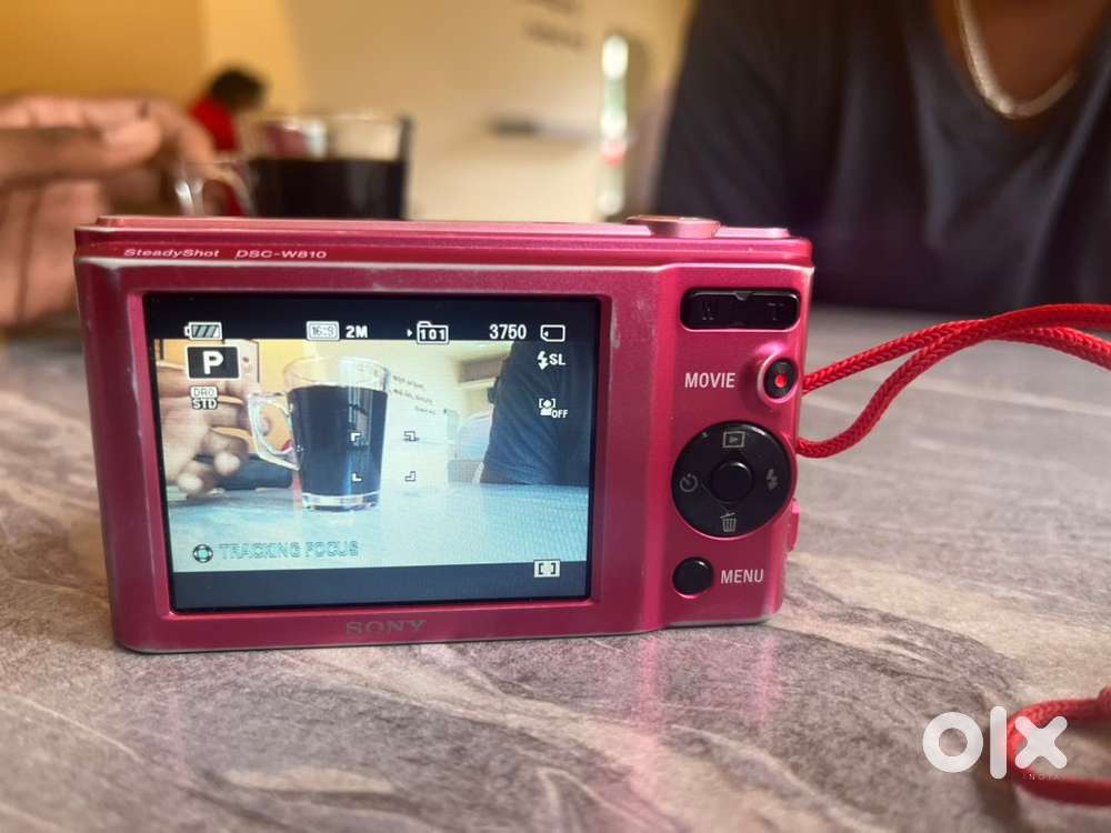 Sony Cyber-shot DSC-W810 (pink, 20.1 MP, 6x optical zoom