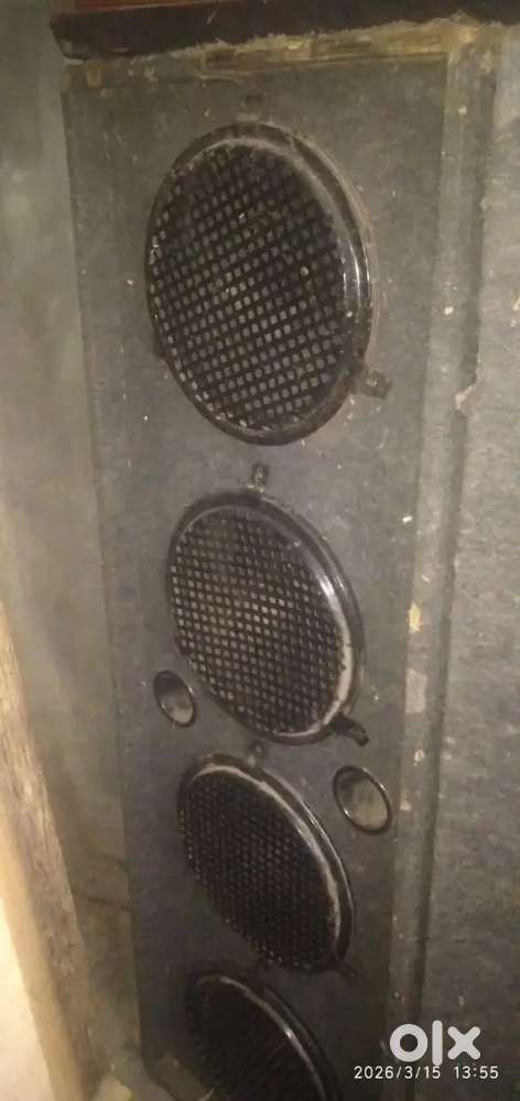 Speaker audio