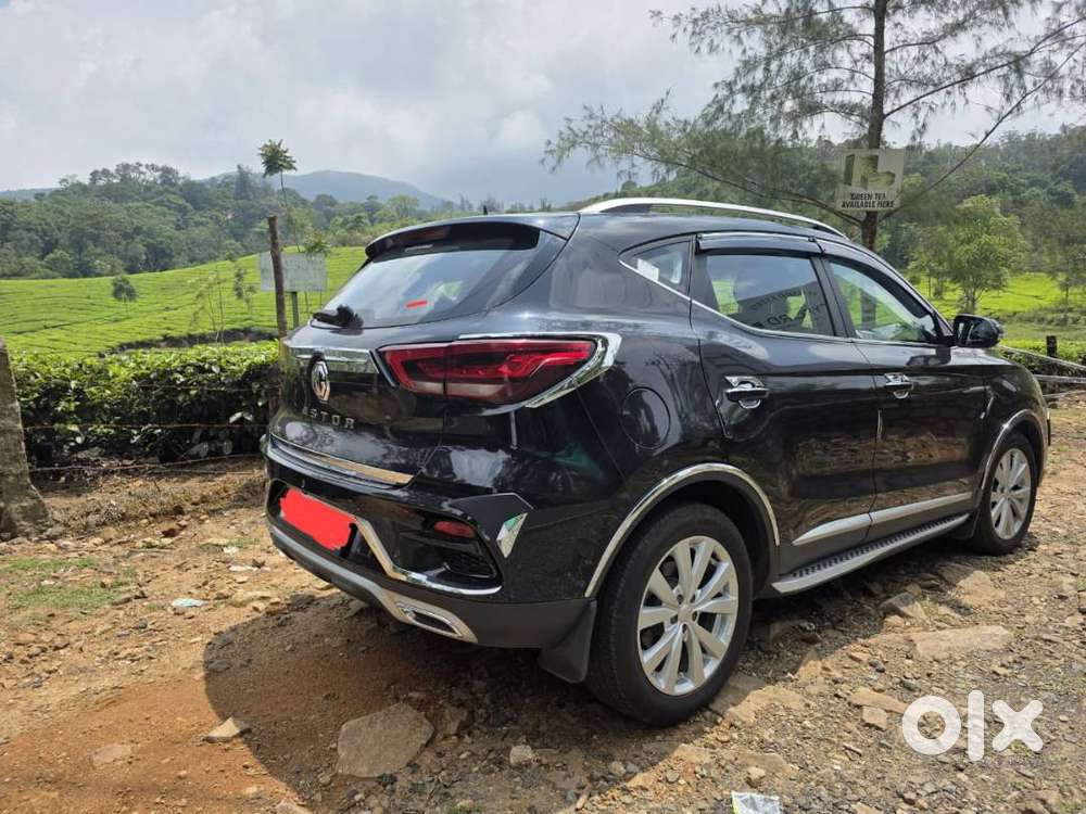 Mg Astor Zs Intrested Dm