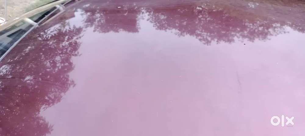 Honda City 1.5 V Petrol 2014