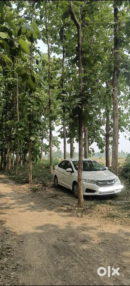 Honda City 2014 Mt