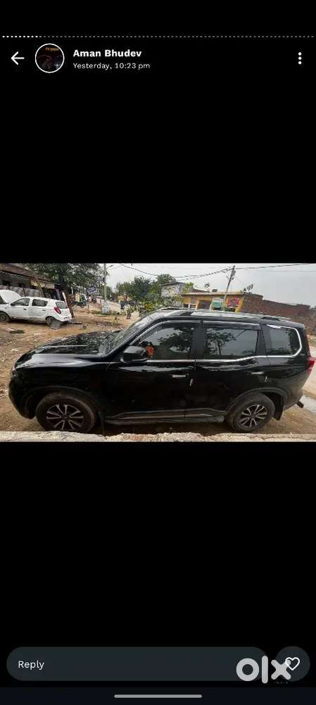 All Orginal Pent O% Scretch