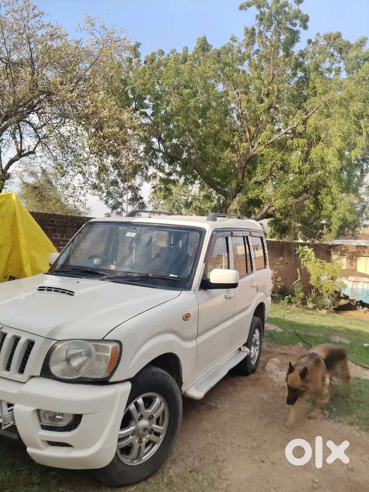 Best Condition M H Gaddi