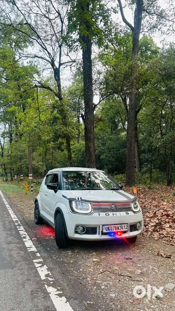Maruti Suzuki Ignis 2017 Petrol