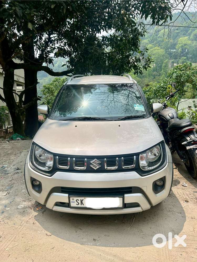 Maruti Suzuki Ignis 1.2 Delta Mt, 2020, Petrol