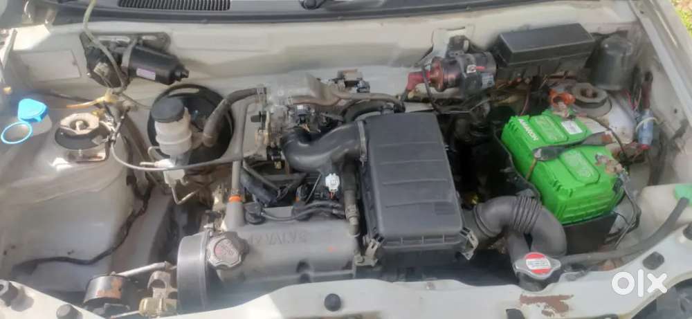 Alto 800 F8