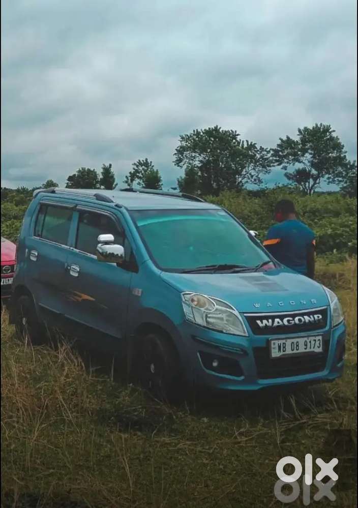 Maruti Suzuki Wagon R 2014