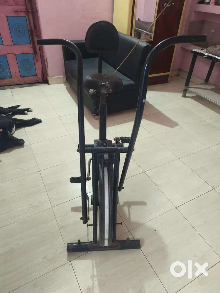 gym cycle small Godi ladder
