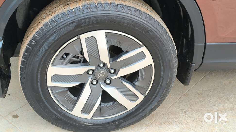 Tata Safari Adventure Plus At, 2024, Diesel