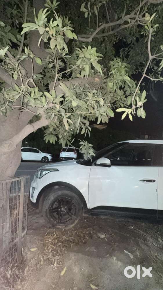 Gaddi Is Untouch No Accidental