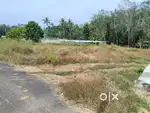 5  CENT  ORIGINAL PURAYIDAM LAND FOR SALE AT PALLIKARA KANINAD