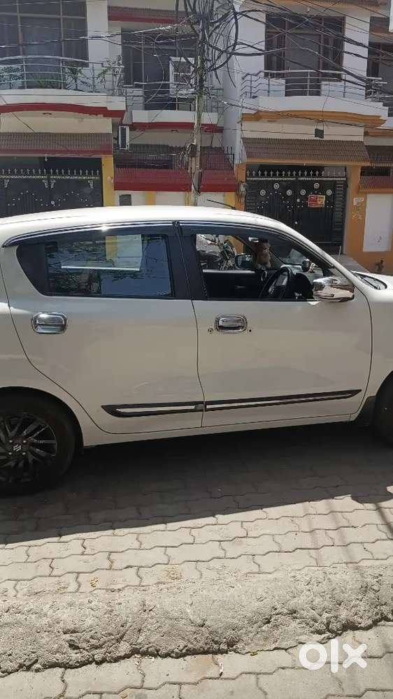 Maruti Suzuki Celerio 2025 Petrol 12224 Km Driven