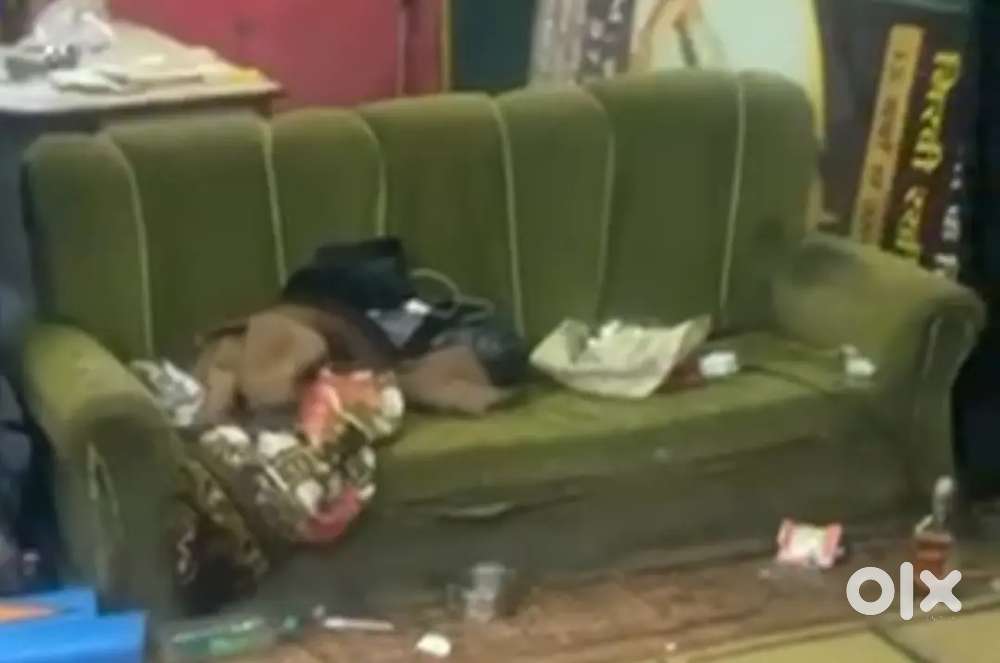 Sofa set ek dam fust class he kisi bhi chee kinkami nahi urgent sall k