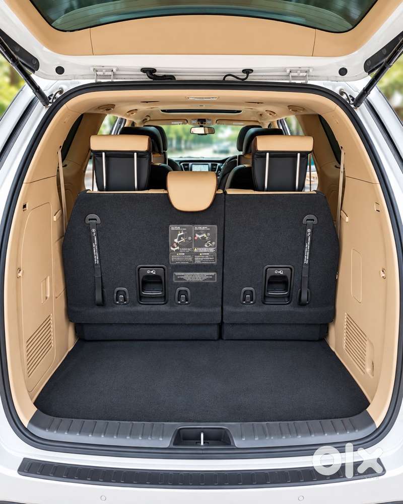 Kia Carnival Limousine 2021