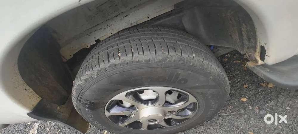Mint Condition