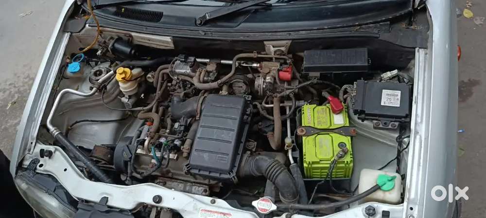 2012 Alto Lxi Green