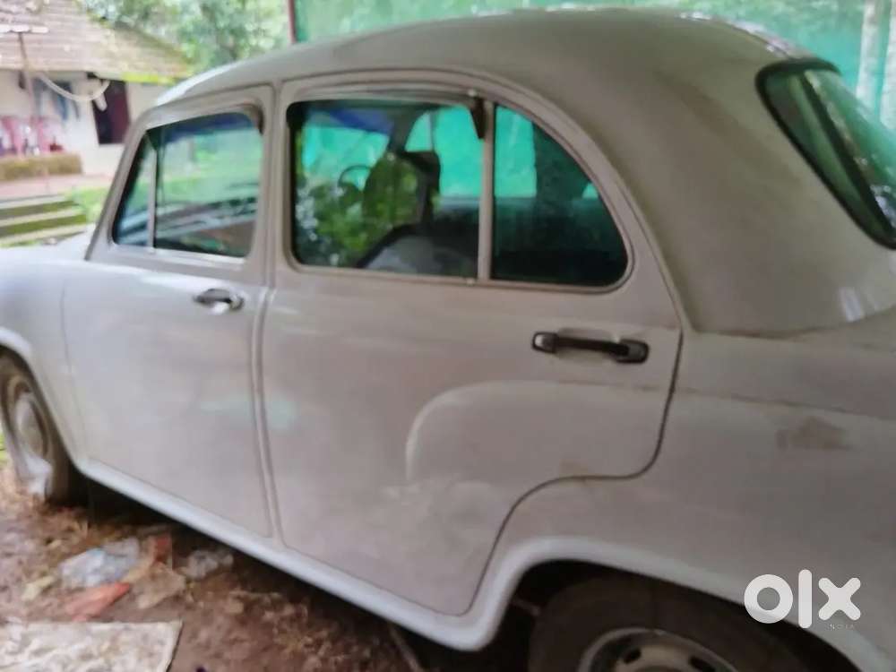 2006 Model Ambassador