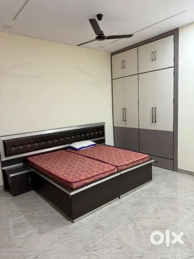 New farnished kothi rent - For Rent: Houses & Apartments in Model Town ...